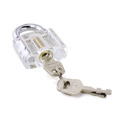 Transparent Disc Detainer Practice Lock