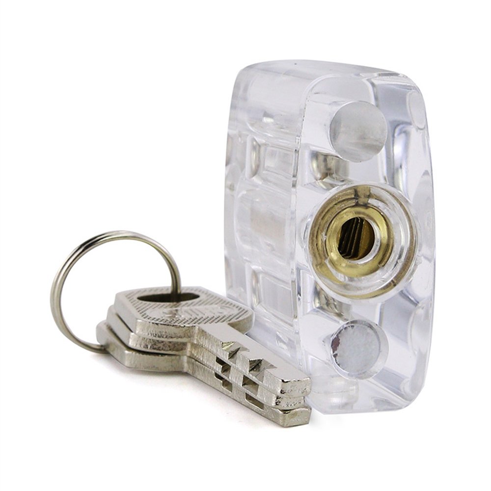 Transparent Disc Detainer Practice Lock